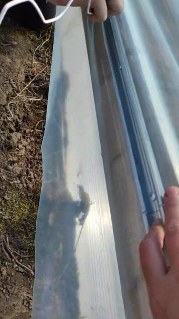 продолжение покрытия теплиц Профиль Зигзаг . смотреть онлайн