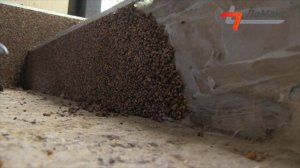 ИНСТРУКЦИЯ ПО УКЛАДКЕ «КАМЕННОГО КОВРА» НА БЕТОННОЕ ОСНОВАНИЕ