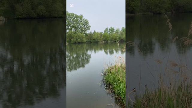 РЕЛАКС смотреть онлайн