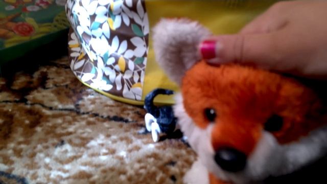 Мой кот любит хип-хоп