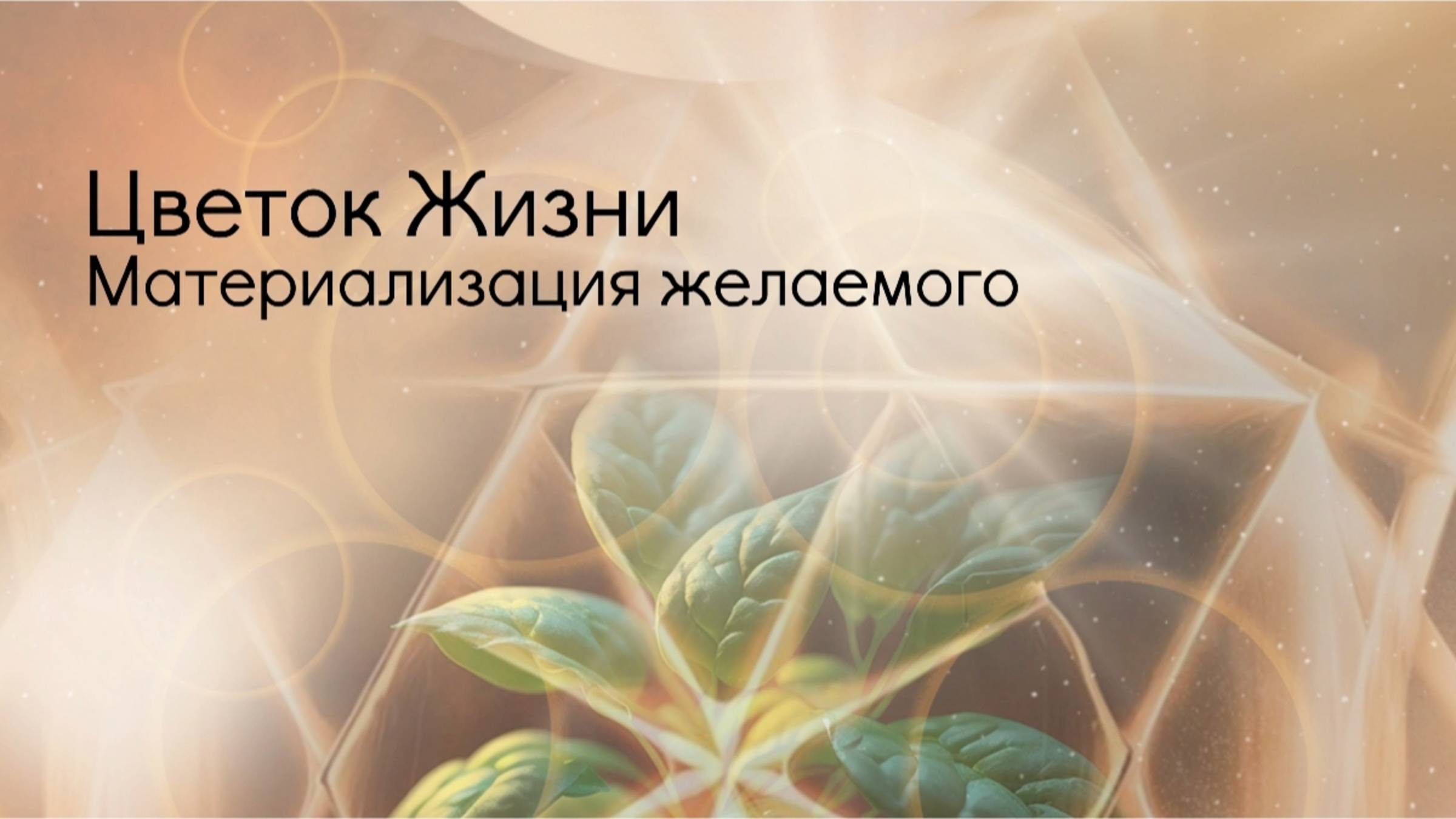 Цветок Жизни.
Сакральная геометрия мая.
Материализация желаемого. смотреть онлайн