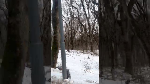 Обзорная вокруг Железной горы