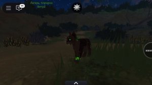 Сериал "Судьба" 1 сезон 9 серия "История племенной жизни Какао"