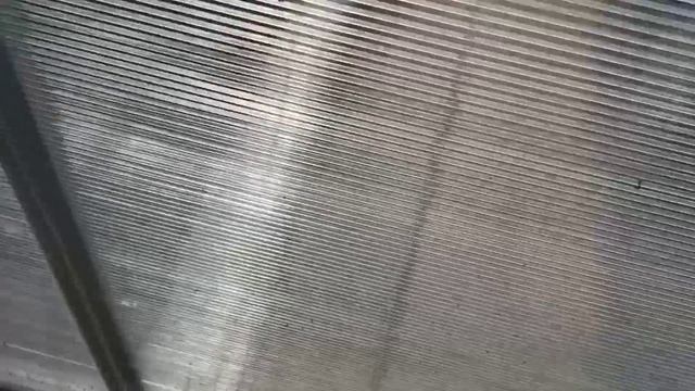 Печенье "Гусиные лапки" / Немного опоздали на митинг / смотреть онлайн