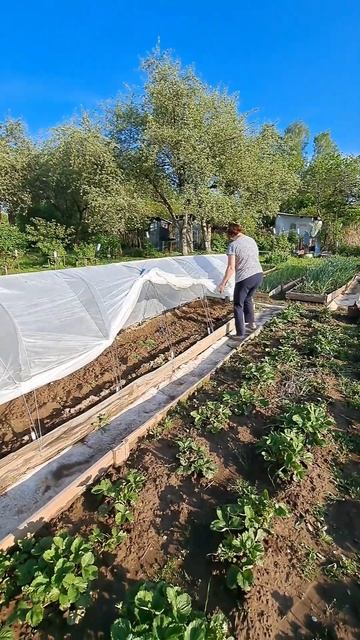 Затерянные архитекторы