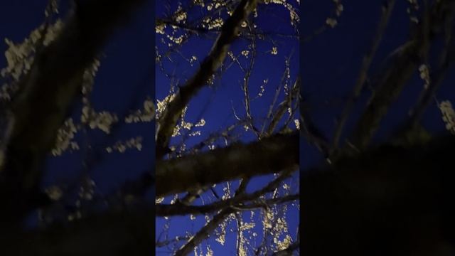 Как встретить БОГА смотреть онлайн