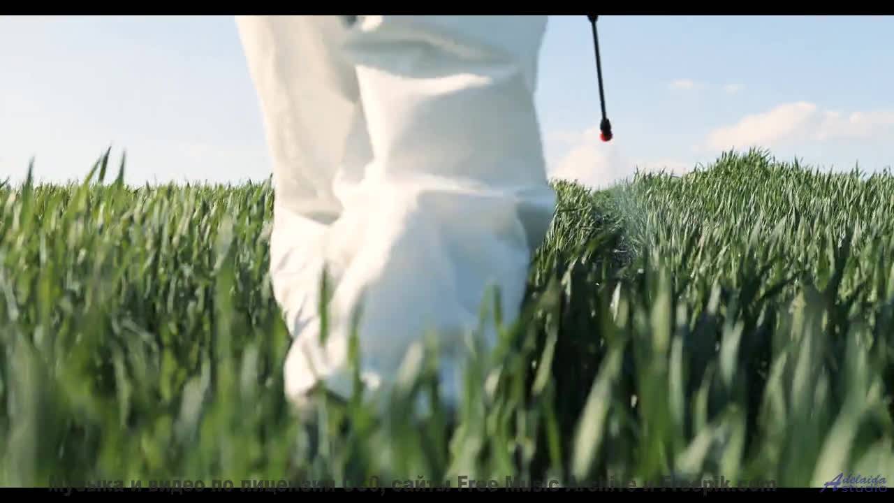 Вы не сможете усидеть дома после этого видео! - Without You (Instrumental) -- Forget The Whale -- Ta