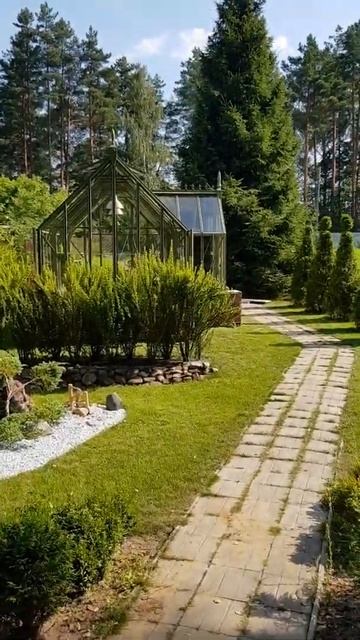 Теплица Мэйден Стаффорд смотреть онлайн