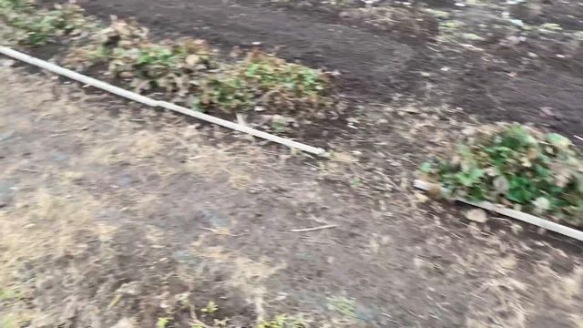 Залили фундамент под баню и монолитную плиту под маши? смотреть онлайн