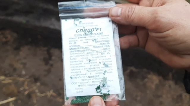 Посадка ранней зелени, редиса и моркови в неотапливае? смотреть онлайн