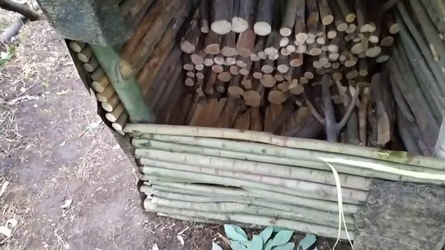 Готовый дровник, хулиганство Ягдтерьера Еры. смотреть онлайн