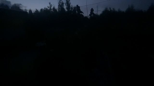 Ночной сад, однозначно без сорняков. смотреть онлайн