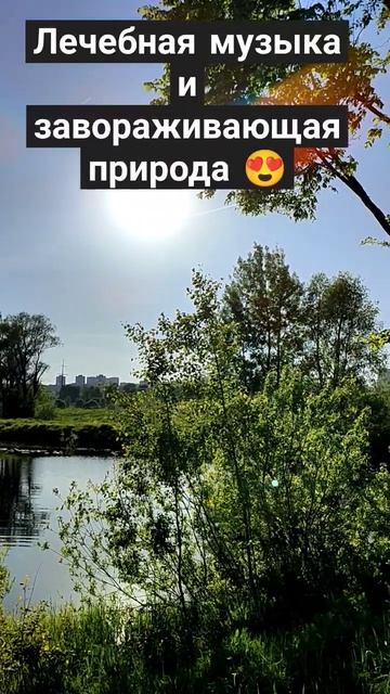 красота природы #жизнь #цветы #лето #дача #природа #сад # смотреть онлайн