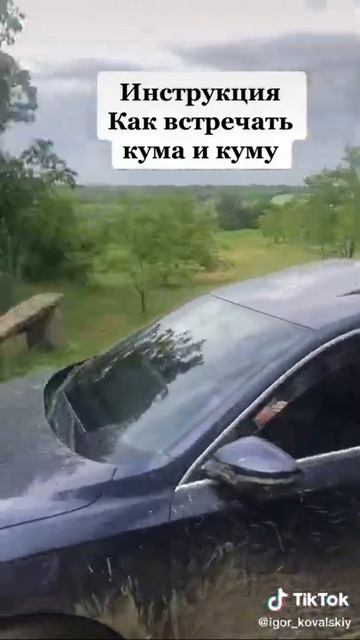ВСТРЕТИЛ КУМУ И КУМА С ШАШЛЫКОМ 😂😂😂 #shorts смотреть онлайн