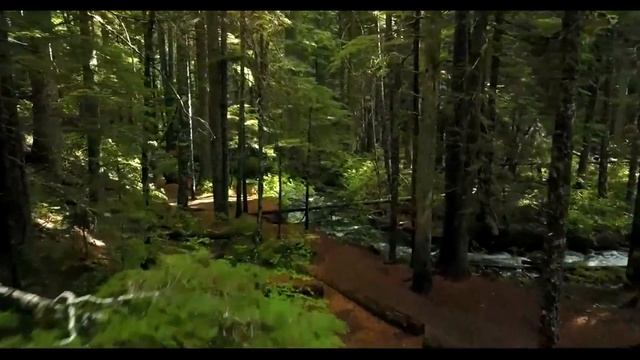 Как Молодая Теща к Зятю в Баню Пришла! Сборник Свежих А смотреть онлайн