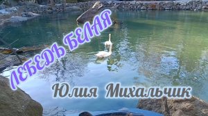 ЮЛИЯ МИХАЛЬЧИК. ,, ЛЕБЕДЬ БЕЛАЯ"