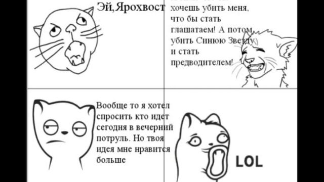 Коты воители мемы моя первая озвучка