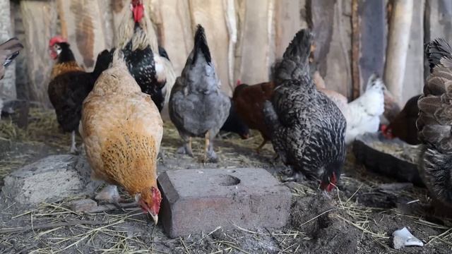 Деревенский быт