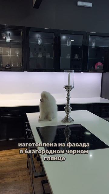 #шок #тренд #краснодар