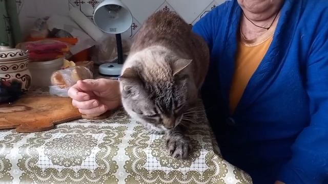 7 мая 2025. До сих пор носят пандемийные маски. смотреть онлайн