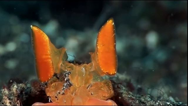 ЛУННЫЙ ДЕНЬ - 10 СЕНТЯБРЯ 2024/ ВТОРНИК /КАК СЛОЖИТСЯ ВАШ Д смотреть онлайн