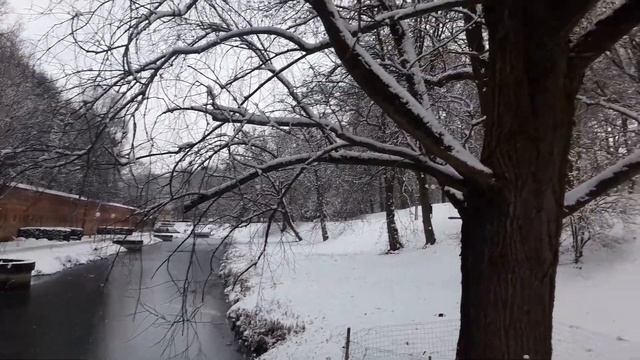 Зимний пейзаж в парке - а снег лежит/Winterlandschaft Im Park