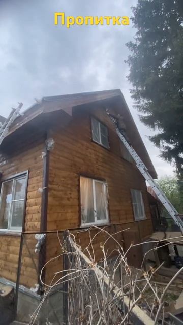 #отделка #покраска #ремонт #покраска #пропитка #travel #шли смотреть онлайн