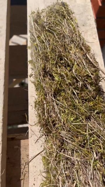 Самый чистый, и без химии #утеплитель смотреть онлайн