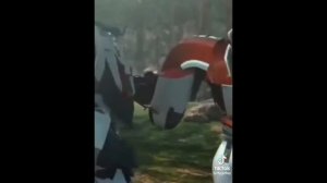 Подборка Трансформеров ПРАЙМ + бонус в ТТ