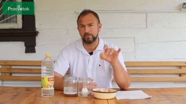 Подкормка для урожая яичная смотреть онлайн