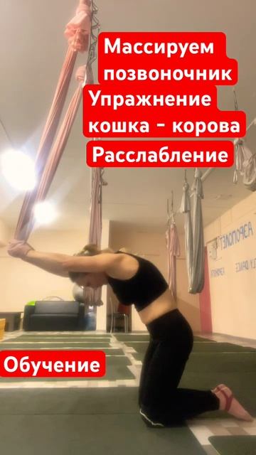 Упражнение Кошка- корова в гамаке#расслабление позвон