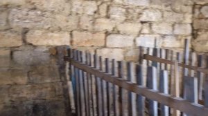 Обзор нашего сарая. Козы, куры, утки. Жизнь в деревне.