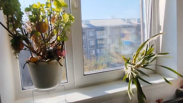 Продажа 3-х комнатной квартиры в Заводском районе смотреть онлайн