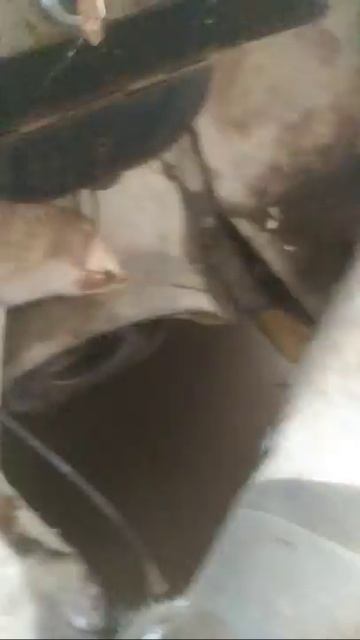 Гоним КОЗЛА на лом, Часть 1 смотреть онлайн
