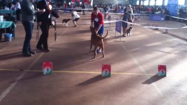 22 ноября 2014 г. смотреть онлайн