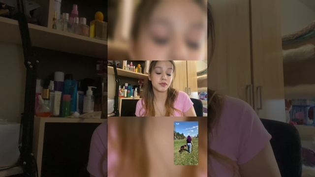 основные ошибки в дрессировке собаки смотреть онлайн