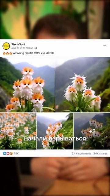 В Америке бумеры начали скупать семена несуществующе? смотреть онлайн