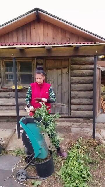 Где зимует моя ботва? #мульча #огород #измельчитель смотреть онлайн