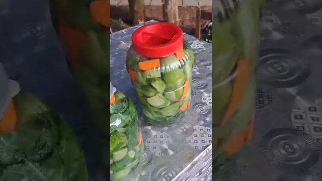готовлю каждый год!!!солёные зелёные помидоры!! смотреть онлайн