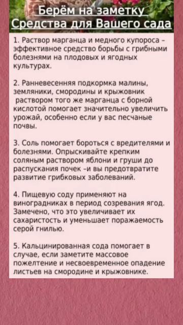 Средства для вашего сада #огород #сад #подкормка #поле? смотреть онлайн