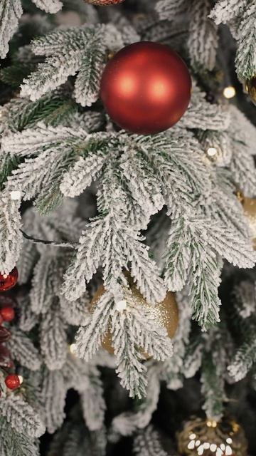 Раскидистая премиум заснеженная с освещением