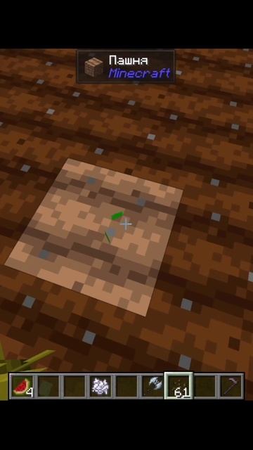 сажаю семена арбуза день 4 смотреть онлайн