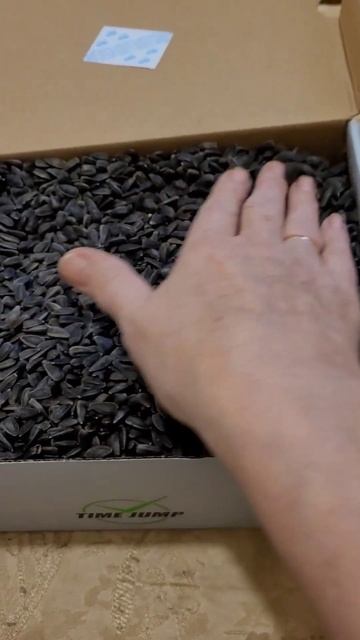 Собрала свои семена подсолнуха смотреть онлайн