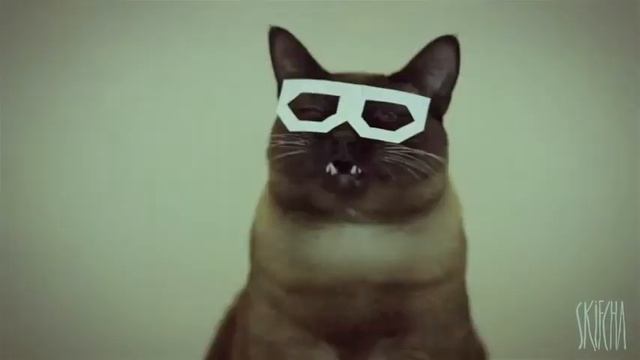 Дабстеп хипстер кот Скифча скрилекс шок видео  18 бас хард