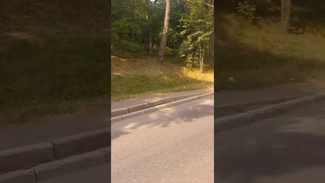 ЕДУ В АВТОБУСЕ ЖАРА смотреть онлайн