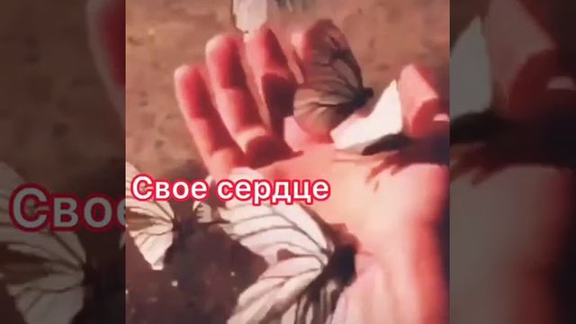 2021 творите  добро  зло и так хватает ❤💔
