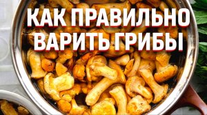 КАК ВАРИТЬ ГРИБЫ