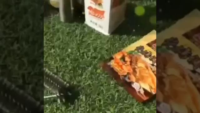 антипригарные щетки для чистки аксессуаров для барбе? смотреть онлайн