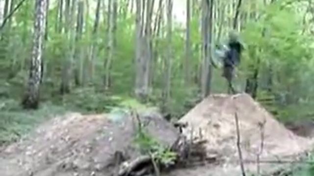 Это можно смотреть вечно.