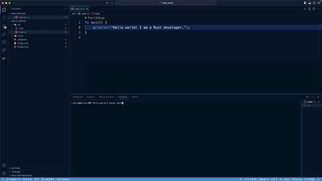 020. The cargo check Command